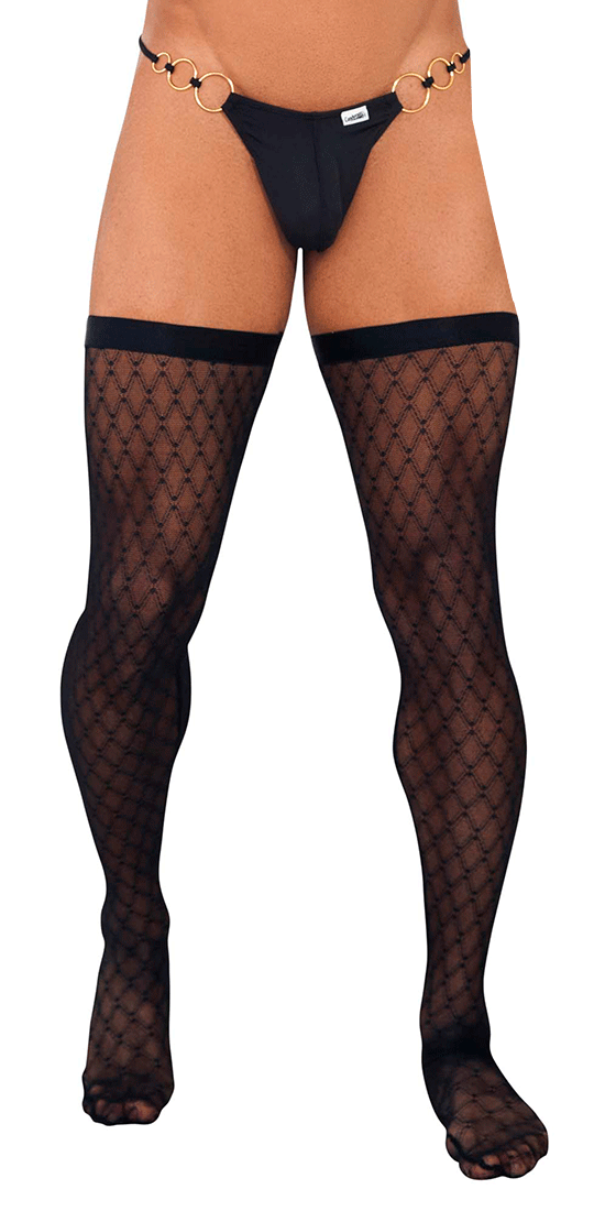 Shop Tights, Thigh Highs, Stockings and Lingerie