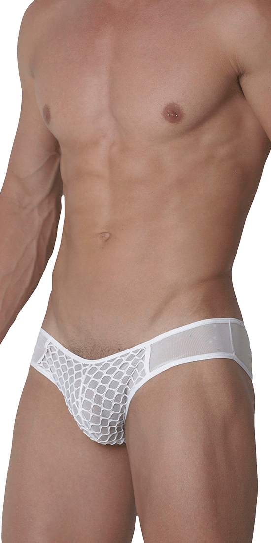 Sheer white mesh thongs