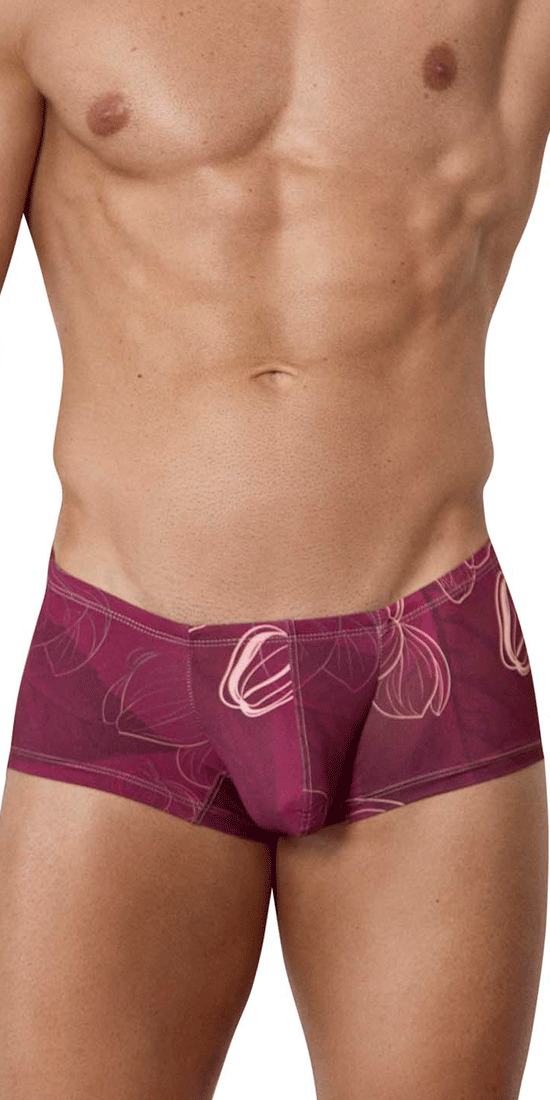 Clever 1582 Ramo Trunks Grape