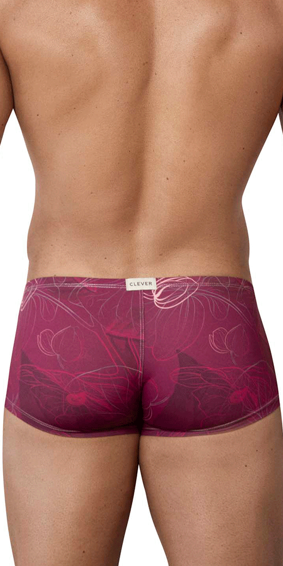 Clever 1582 Ramo Trunks Grape