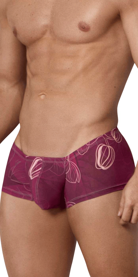 Clever 1582 Ramo Trunks Grape