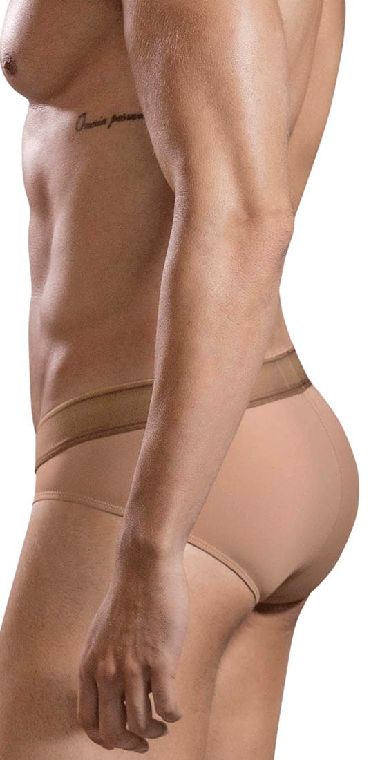 Clever 1670 Britanica Briefs Brown