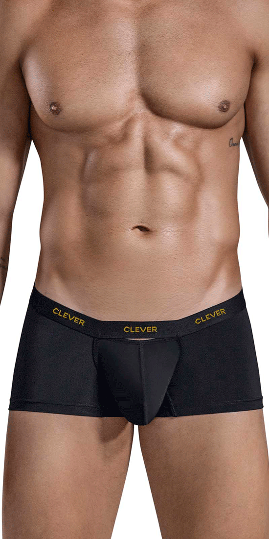 Clever 1677 Luxury Trunks Black