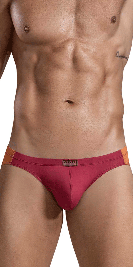 Clever 1681 Two-tone Bikini Grape