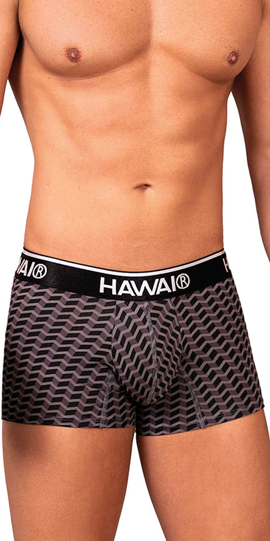 Hawai 42371 Printed Trunks Gray