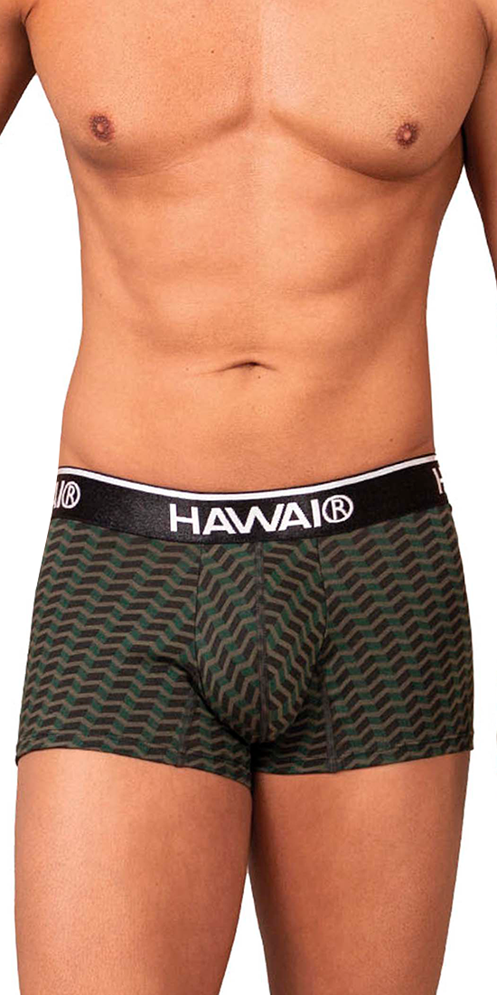 Hawai 42371 Printed Trunks Green