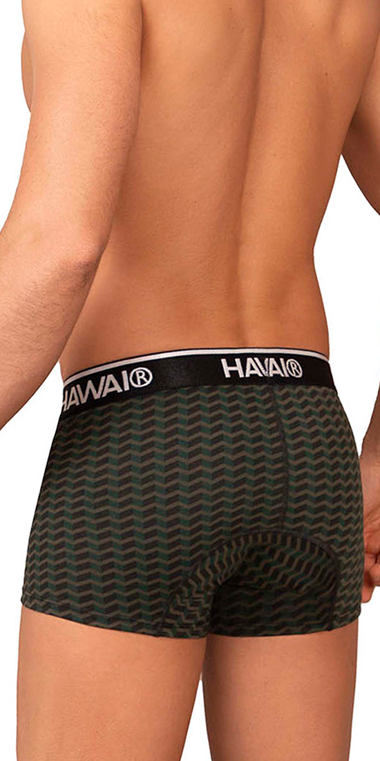 Hawai 42371 Printed Trunks Green