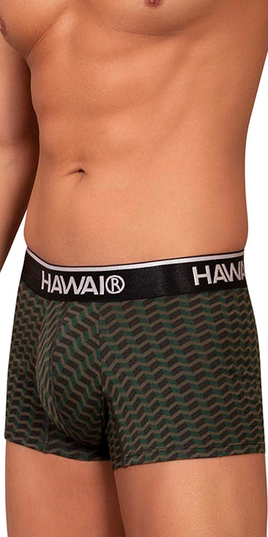 Hawai 42371 Printed Trunks Green