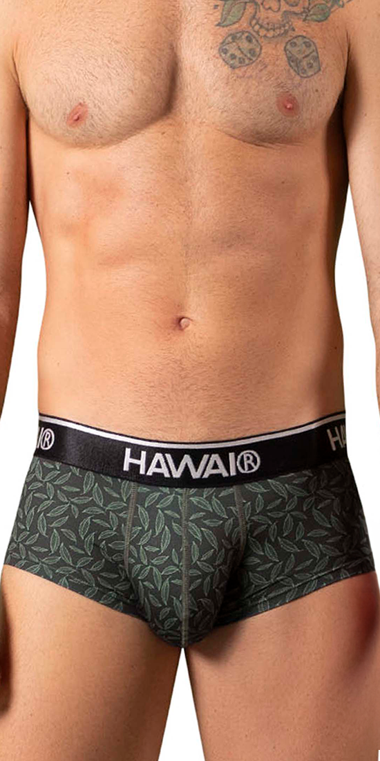 Hawai 42380 Printed Briefs Green