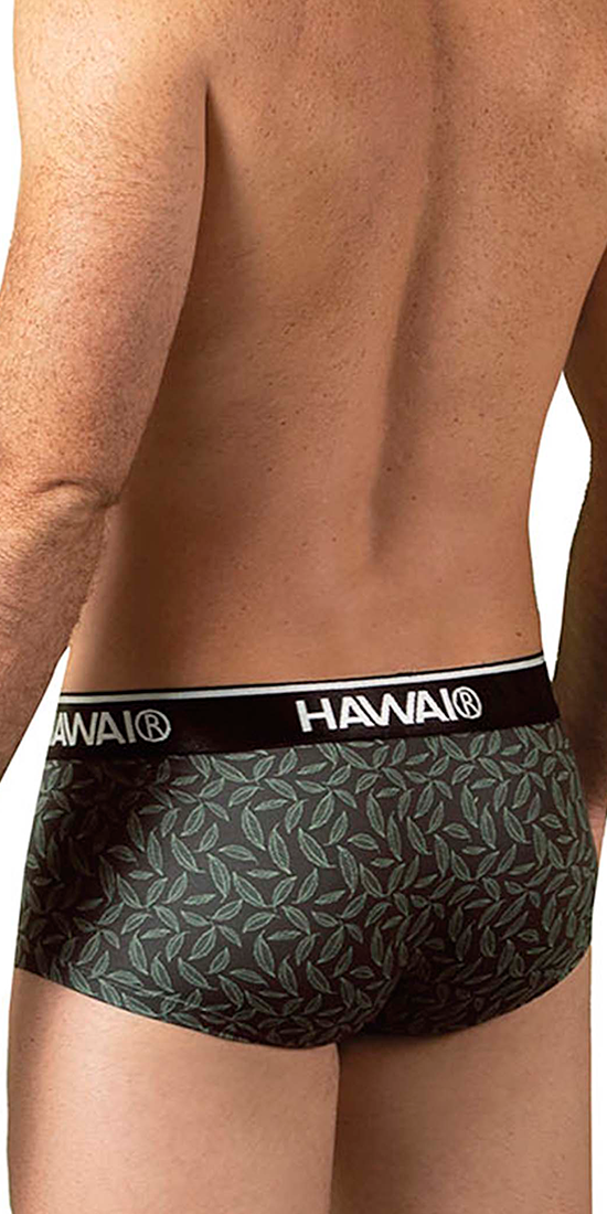 Hawai 42380 Printed Briefs Green