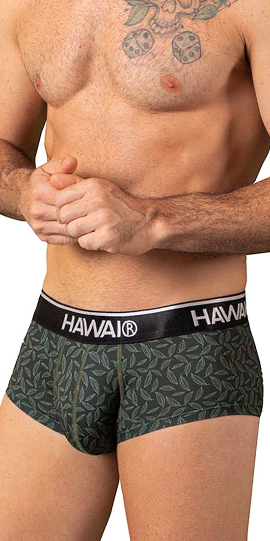 Hawai 42380 Printed Briefs Green