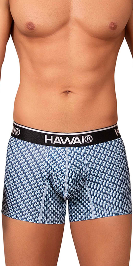 Hawai 42420 Printed Trunks Blue