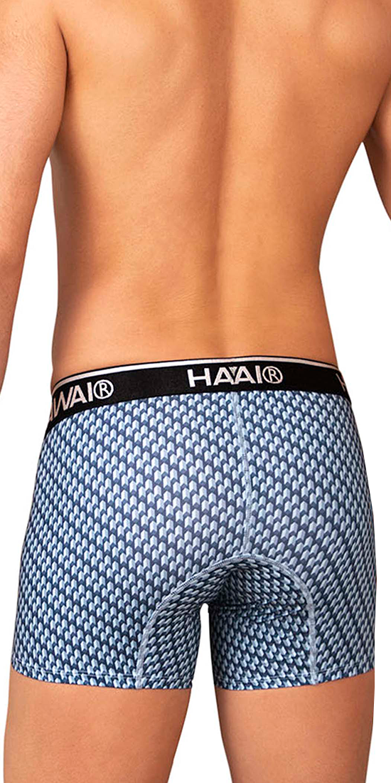 Hawai 42420 Printed Trunks Blue