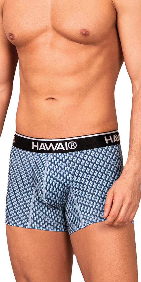 Hawai 42420 Printed Trunks Blue