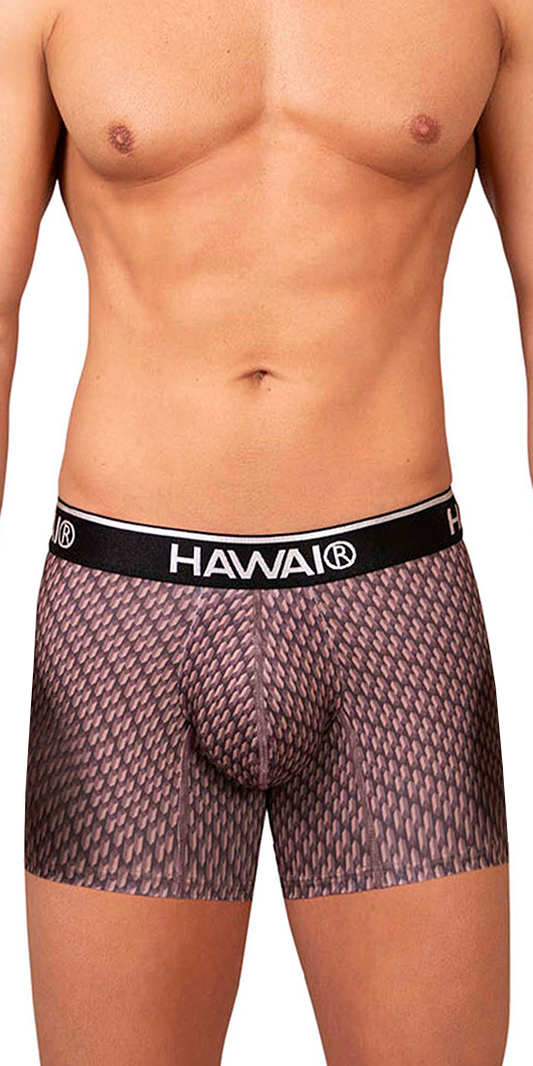 Hawai 42420 Printed Trunks Cocoa