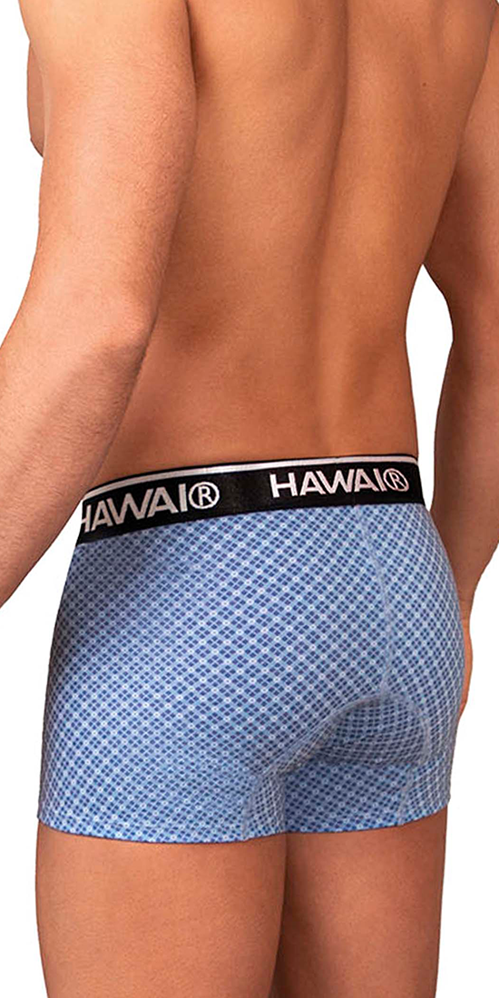 Hawai 42421 Printed Trunks Blue