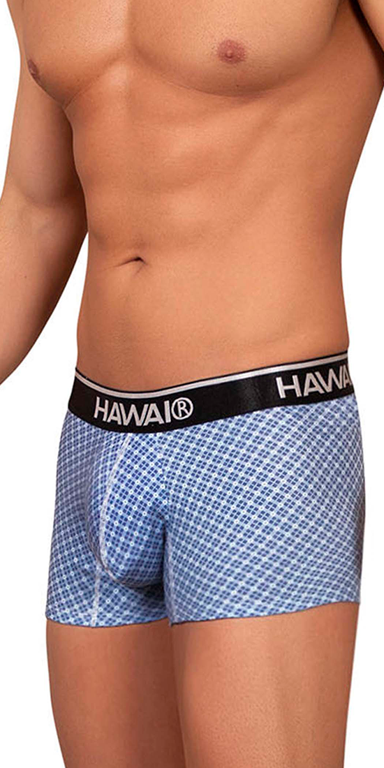 Hawai 42421 Printed Trunks Blue