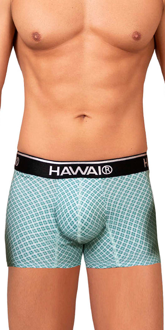 Hawai 42421 Printed Trunks Green