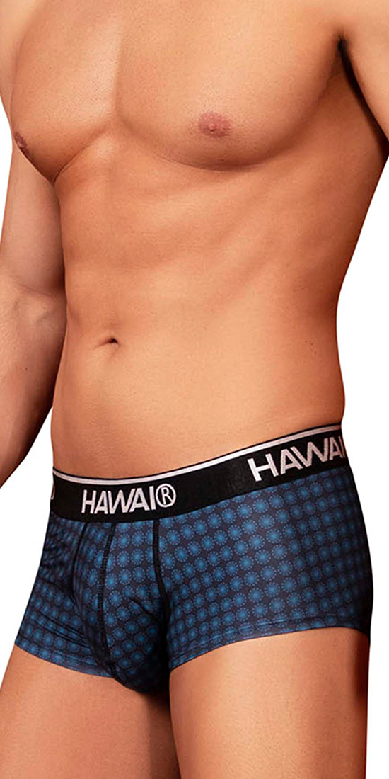 Hawai 42430 Printed Briefs Blue