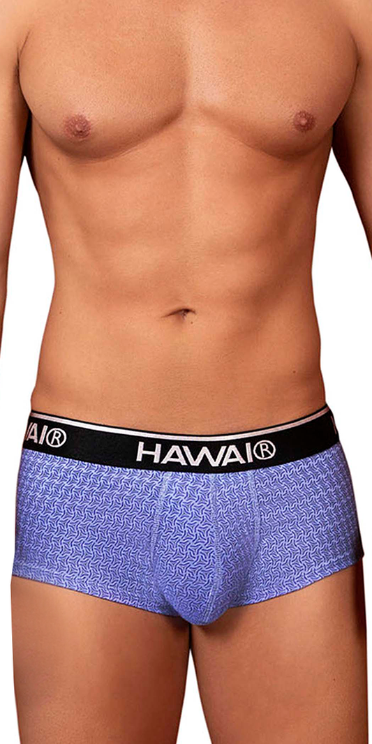 Hawai 42431 Printed Briefs Blue