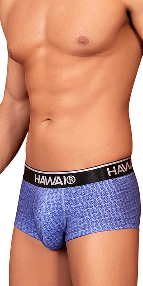 Hawai 42431 Printed Briefs Blue