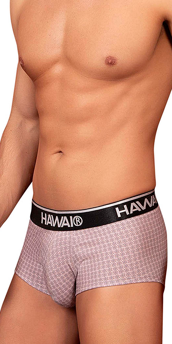 Hawai 42431 Printed Briefs Cocoa