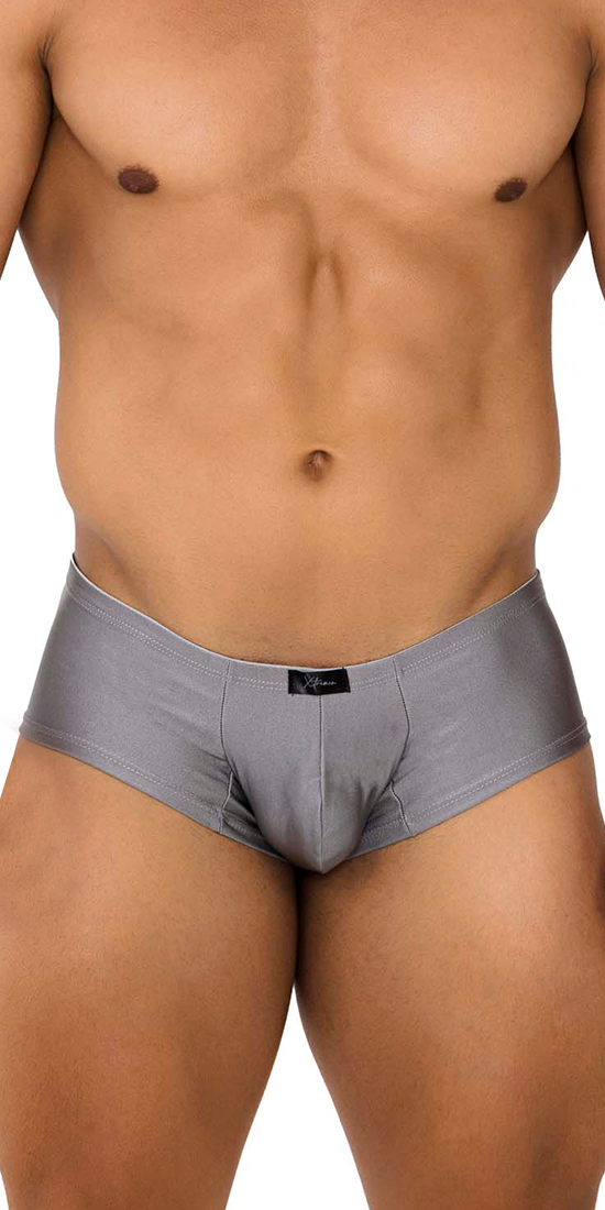 Xtremen 91180 Microfiber Trunks Silver