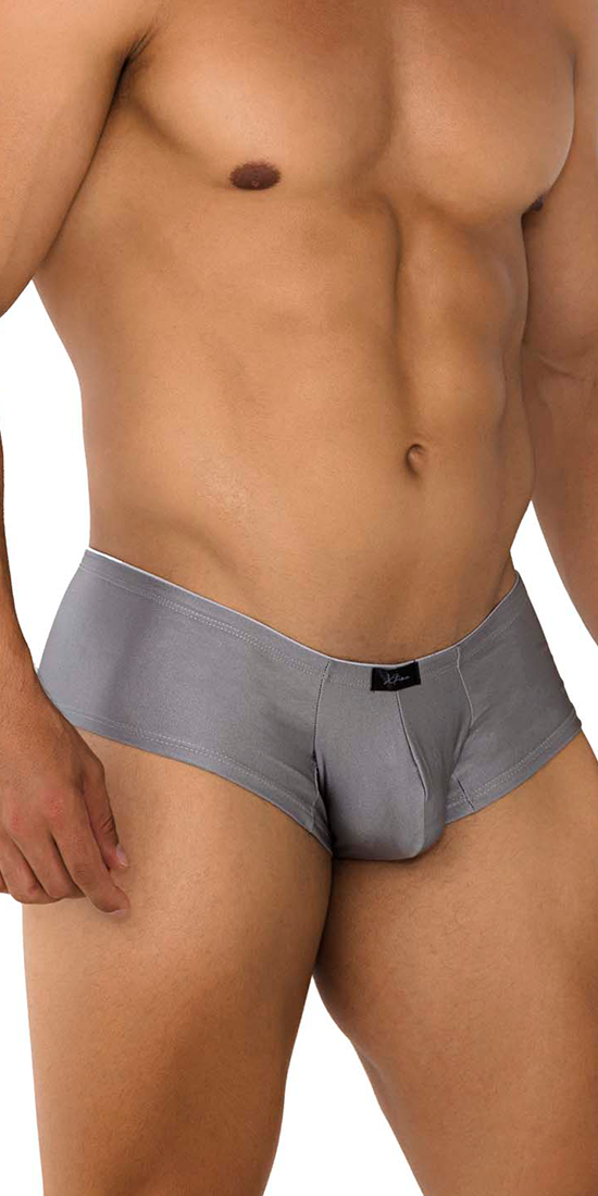 Xtremen 91180 Microfiber Trunks Silver