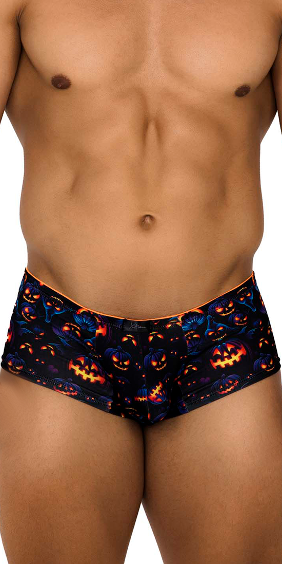 Xtremen 91193 Printed Trunks Pumpkins