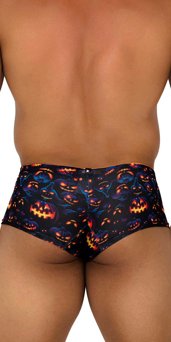 Xtremen 91193 Printed Trunks Pumpkins