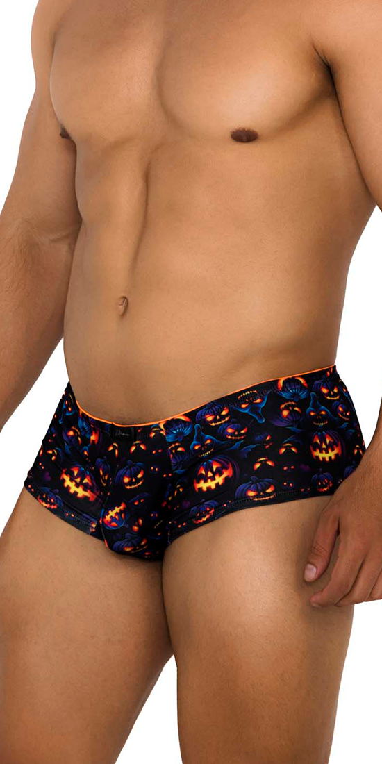 Xtremen 91193 Printed Trunks Pumpkins