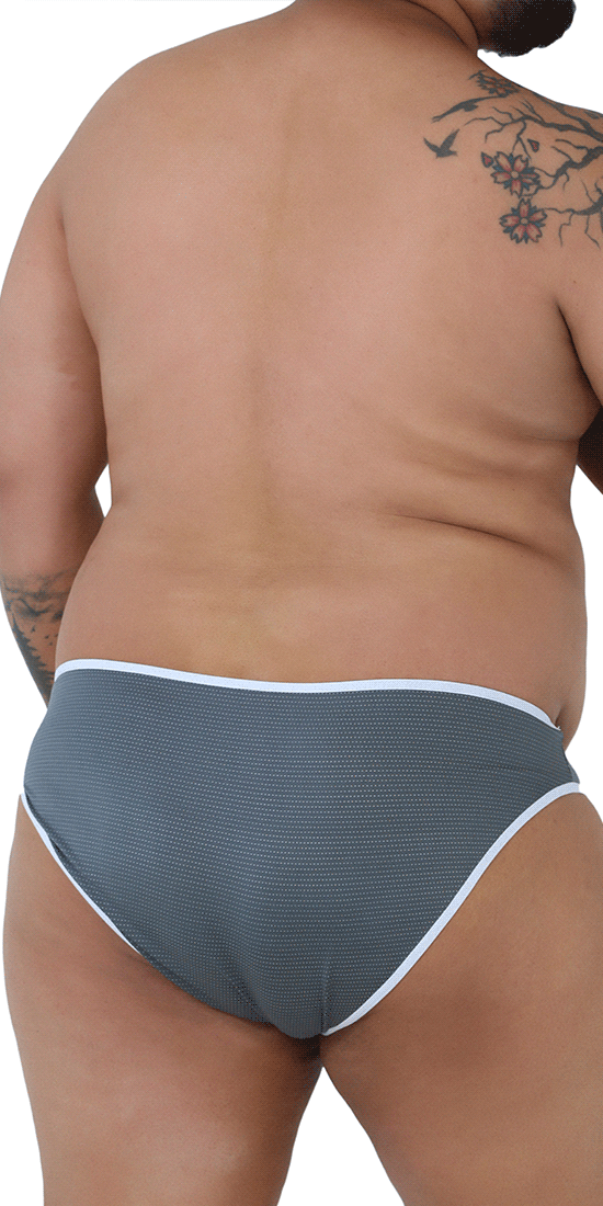 Xtremen Microfiber Briefs Plus Size Gray – MensUnderwearStore.com Men's Underwear Swimwear